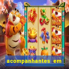 acompanhantes em nova mutum